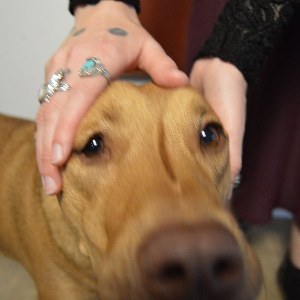 Vintage Navajo Sterling Silver and Turquoise Ring, Size 7 - Picture 4 of 8